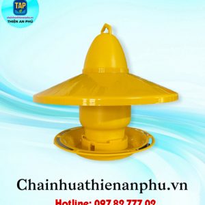 BẪY DIỆT RUỒI